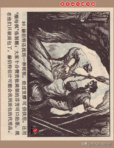 重返神秘岛1(重返神秘岛1机器人密码)插图82