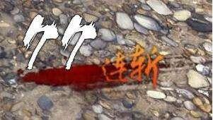 逆水寒素问装备要什么属性(素问内功搭配)