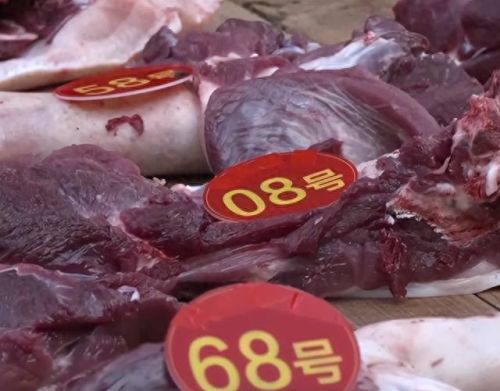 跳跳猪(跳跳猪玩具对婴儿危害)插图11 跳跳猪(跳跳猪玩具对婴儿危害)插图11