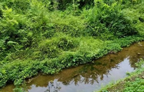 漂泊者洞穴(在漂泊者洞穴里怎么出来)插图4