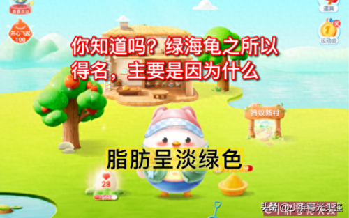 绿海龟为什么叫绿海龟(十大恐怖乌龟)