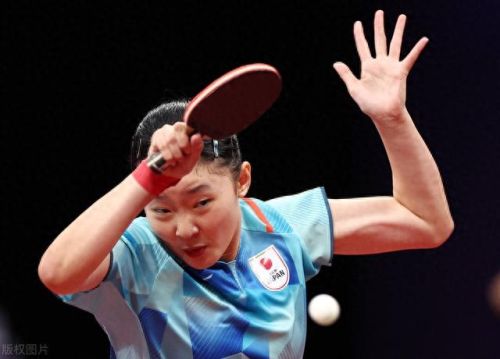 伊藤美诚简介(樊振东最爱的女人是陈梦吗)