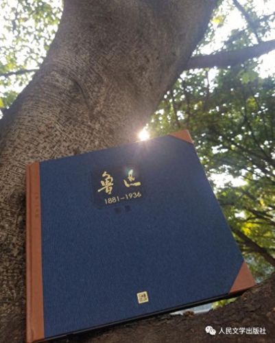 狂人日记的作者(狂人日记两个作者)插图1 狂人日记的作者(狂人日记两个作者)插图1