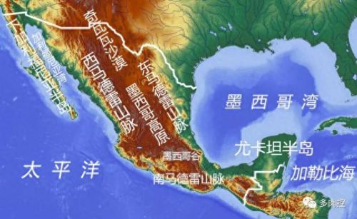 龙舌兰高原42攻略(龙舌兰高原攻略65)插图4 龙舌兰高原42攻略(龙舌兰高原攻略65)插图4