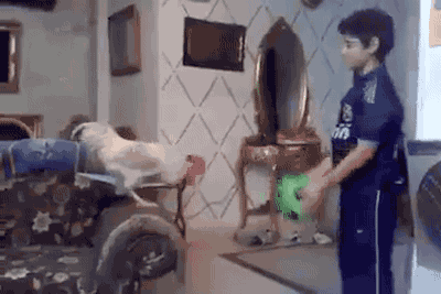 迈开腿尝尝你的草莓是什么(迈开腿尝尝森林的味道)插图8