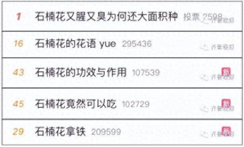 石楠花花语(石楠不能说的秘密)插图 石楠花花语(石楠不能说的秘密)插图