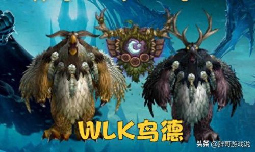 鸟德天赋(猫德天赋和输出手法)插图