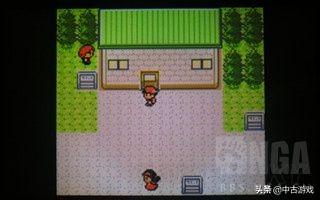 口袋妖怪叶绿金手指(叶绿金手指)插图16 口袋妖怪叶绿金手指(叶绿金手指)插图16