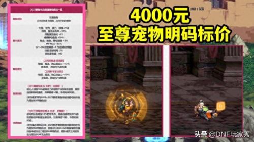 dnf可交易加技能的宠物(dnf宠物怎么放技能)