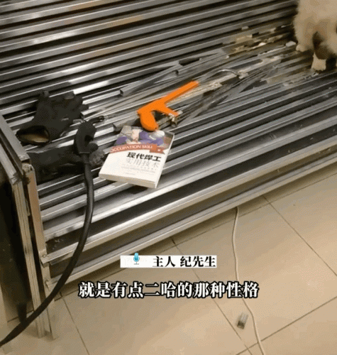 越狱禁闭攻略第七关(不可能完成的越狱第一关攻略)插图13