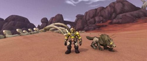 兽人猎人锁甲幻化装备大全(猎人装备幻化排行榜)插图7