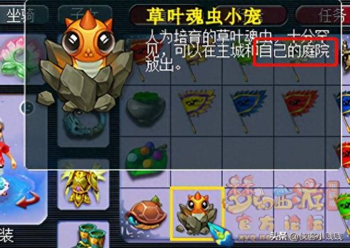 梦幻西游探访成就最佳路线(梦幻西游种族成就攻略)插图21