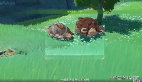 原神3.0前瞻直播时间(原神3.0前瞻直播全球时间)插图34 原神3.0前瞻直播时间(原神3.0前瞻直播全球时间)插图34