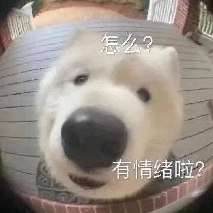 永久免费看片的服务器(免费的电影网站服务器和域名)插图11