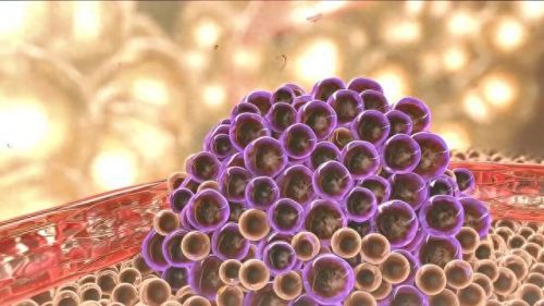 狗狗的东西又硬又长(小狗背后有个大包)插图 狗狗的东西又硬又长(小狗背后有个大包)插图