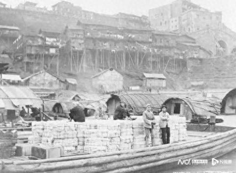 煤球憨憨(洛克王国煤球憨憨能抓雌性吗)