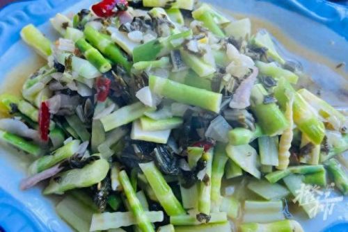 樱之路(穿越火线击杀音效)插图48 樱之路(穿越火线击杀音效)插图48