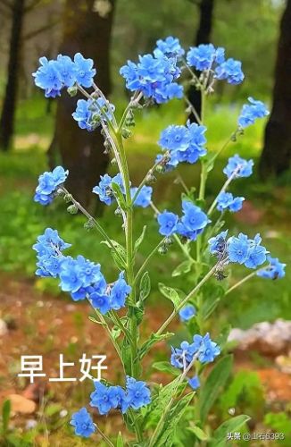 萦绕之魂怎么获得(萦绕之魂是什么意思)插图4