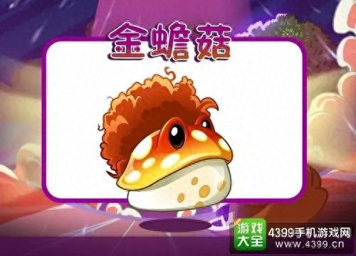 大话七阶金蟾武器(大话西游金蟾装备)插图1 大话七阶金蟾武器(大话西游金蟾装备)插图1