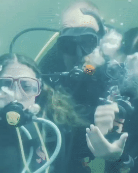 逃离水下旅馆攻略(逃离方块旅馆怎么加水)插图20