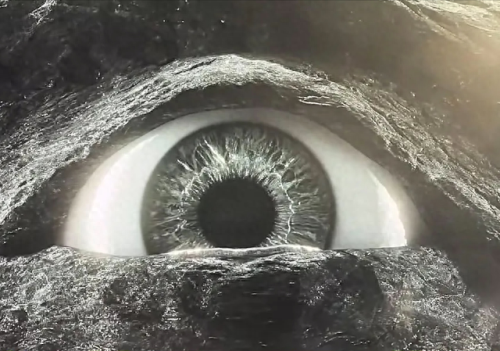 武魂辅助(斗罗之辅助武魂小说)插图2 武魂辅助(斗罗之辅助武魂小说)插图2