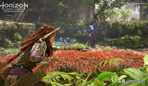 cf安魂曲(安魂曲游戏)插图3