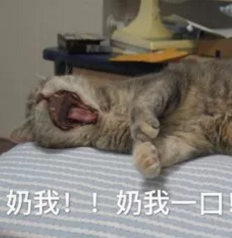 诛仙3天华回蓝技能(诛仙3天华新手技能加点)插图 诛仙3天华回蓝技能(诛仙3天华新手技能加点)插图