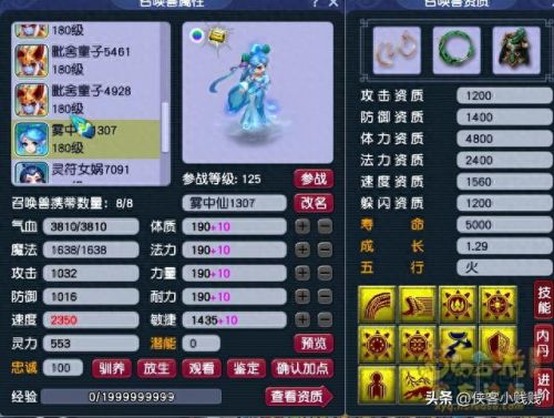 梦幻西游 耐法bb怎么加点(梦幻手游普陀最新加点)插图6