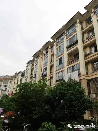 宣城论坛百姓视点(宣城头条新闻)插图3