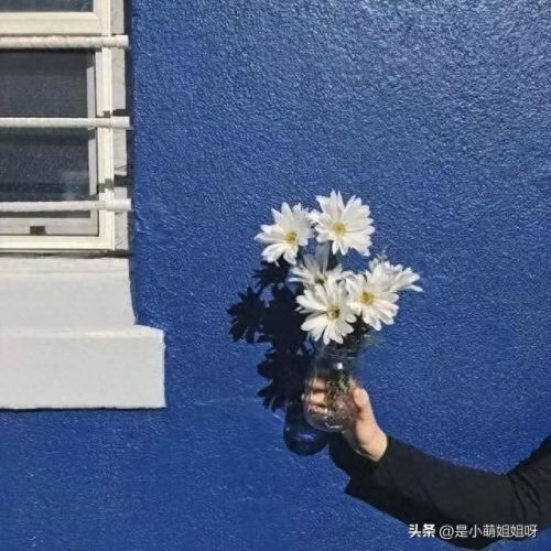 手机挣钱(手机做任务一天50元左右)插图1