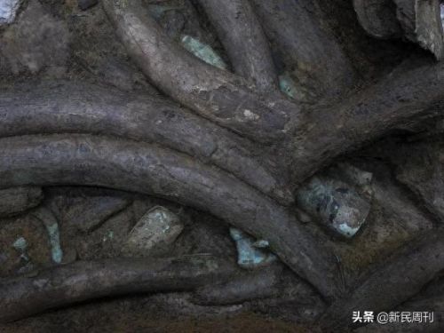 合金装备5杀母基地(合金装备5镇压)插图11