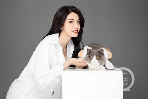 手游qq华夏宠物技能(qq华夏有宠物吗)