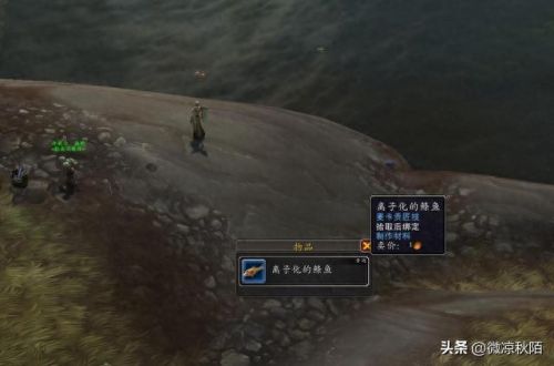 wow钓鱼(魔兽有自动收杆的宏吗)插图3 wow钓鱼(魔兽有自动收杆的宏吗)插图3