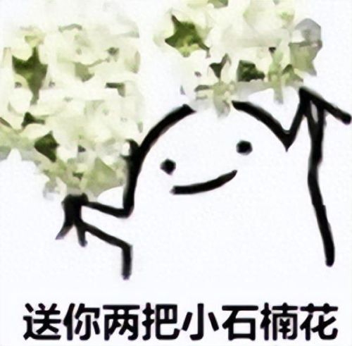 石楠花花语(石楠不能说的秘密)