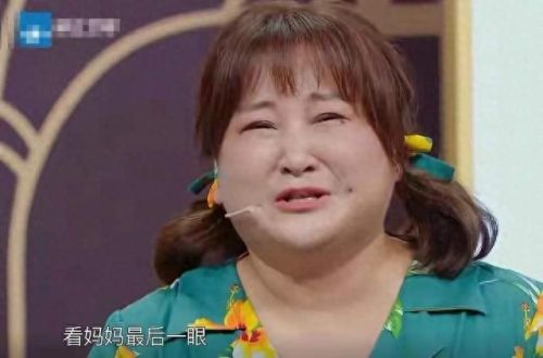 贾玲妈妈(贾玲母亲怎么去世的)插图14