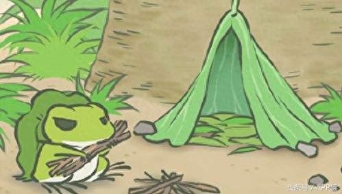 去旅行蛙攻略(青蛙与佛系旅游攻略)插图