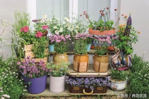 花圃种植(花圃种植基地)