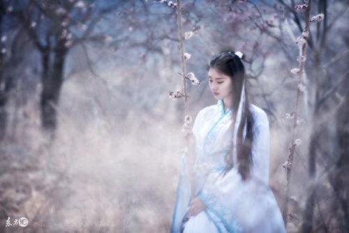 江山无殇怎么攻略碧月(江山无殇昭阳殿在哪)