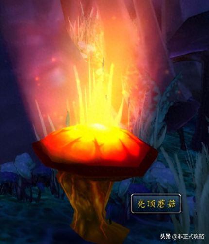 博哈姆废墟(魔兽世界博哈姆废墟台阶在哪)插图1
