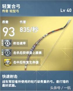 极品传奇(极品传奇装备)插图22