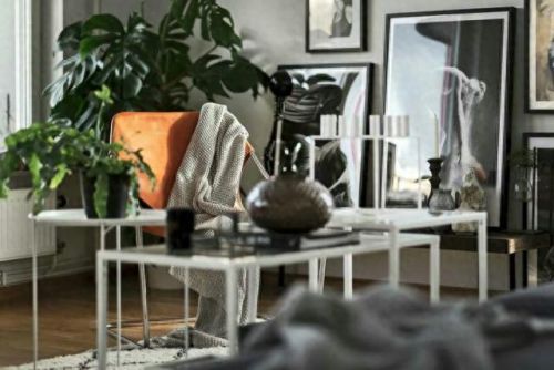 锈湖攻略种花(锈湖交流中的攻略)插图1