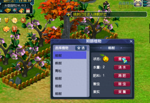 梦幻西游房子种果实(梦幻西游花园种植)