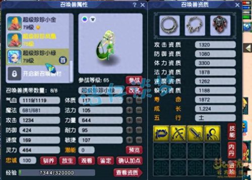 梦幻69dt攻略(梦幻西游69dt加什么)