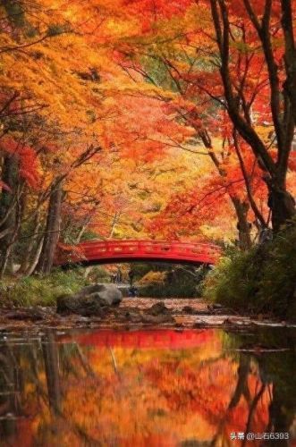 萦绕之魂怎么获得(萦绕之魂是什么意思)插图10