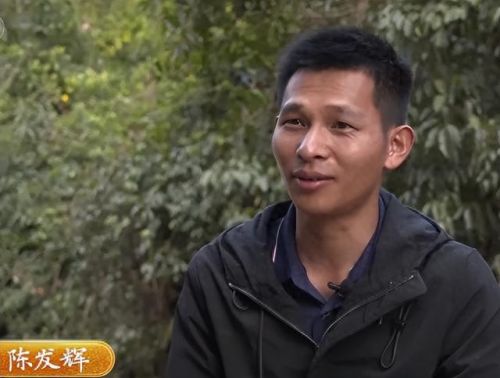 跳跳猪(跳跳猪玩具对婴儿危害)插图 跳跳猪(跳跳猪玩具对婴儿危害)插图