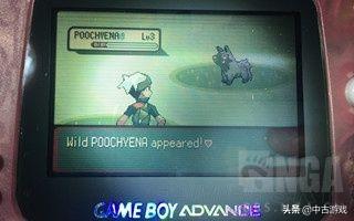 口袋妖怪叶绿金手指(叶绿金手指)插图26 口袋妖怪叶绿金手指(叶绿金手指)插图26