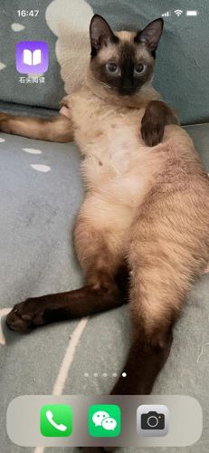 小说免费阅读APP(笔趣阁)插图