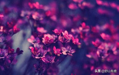 前世缘今生劫 攻略(浮世万千前世今生全攻略)插图3