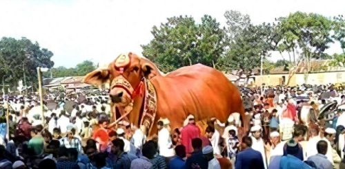 亚洲是图50(亚洲地图2060)插图1