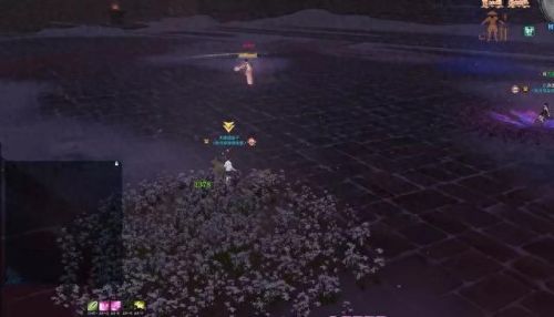 天刀助手白鹭洲攻略(天刀手游演奏助手)插图12 天刀助手白鹭洲攻略(天刀手游演奏助手)插图12